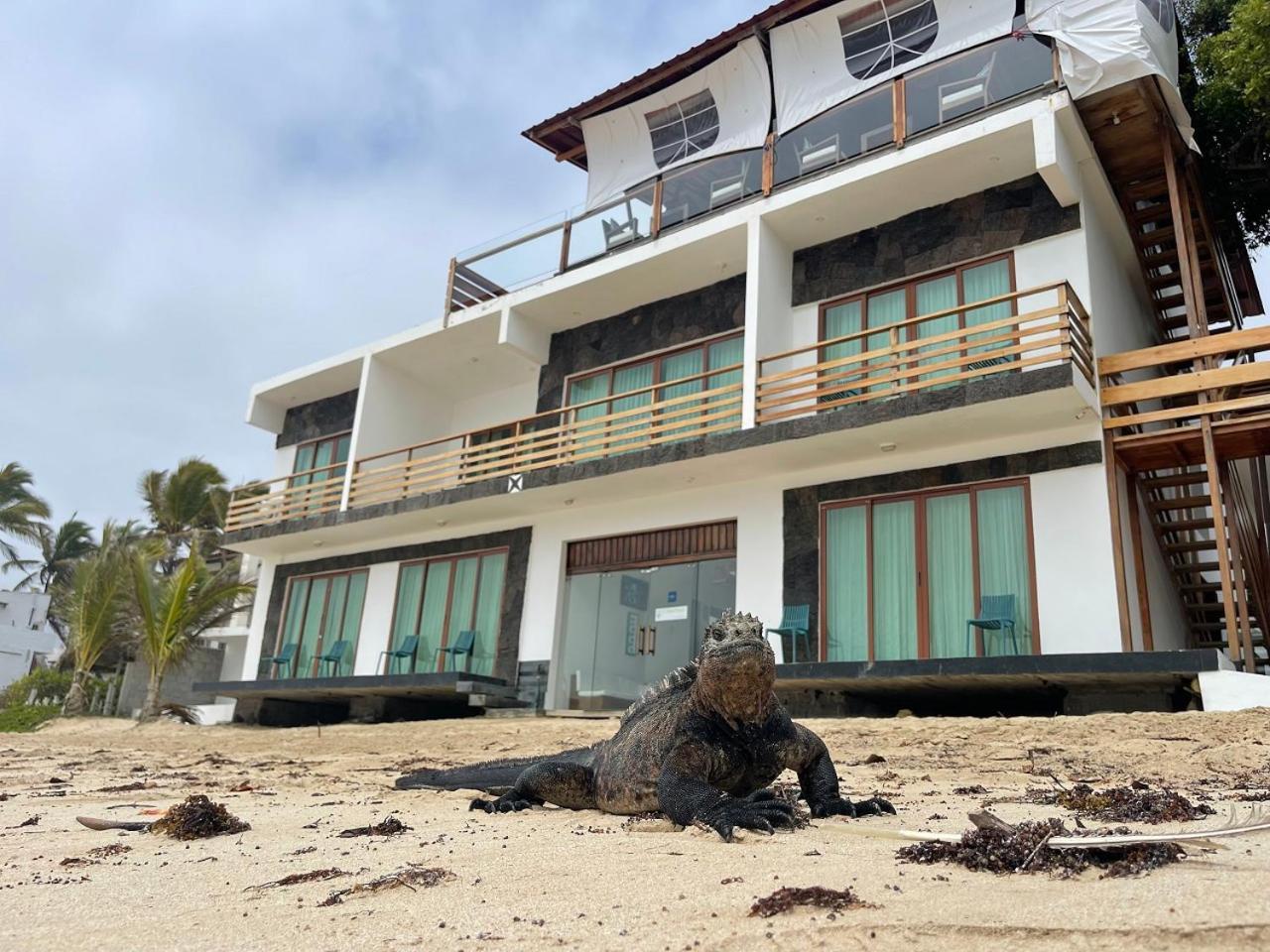 Cormorant Beach House Bed & Breakfast Puerto Villamil Exterior photo